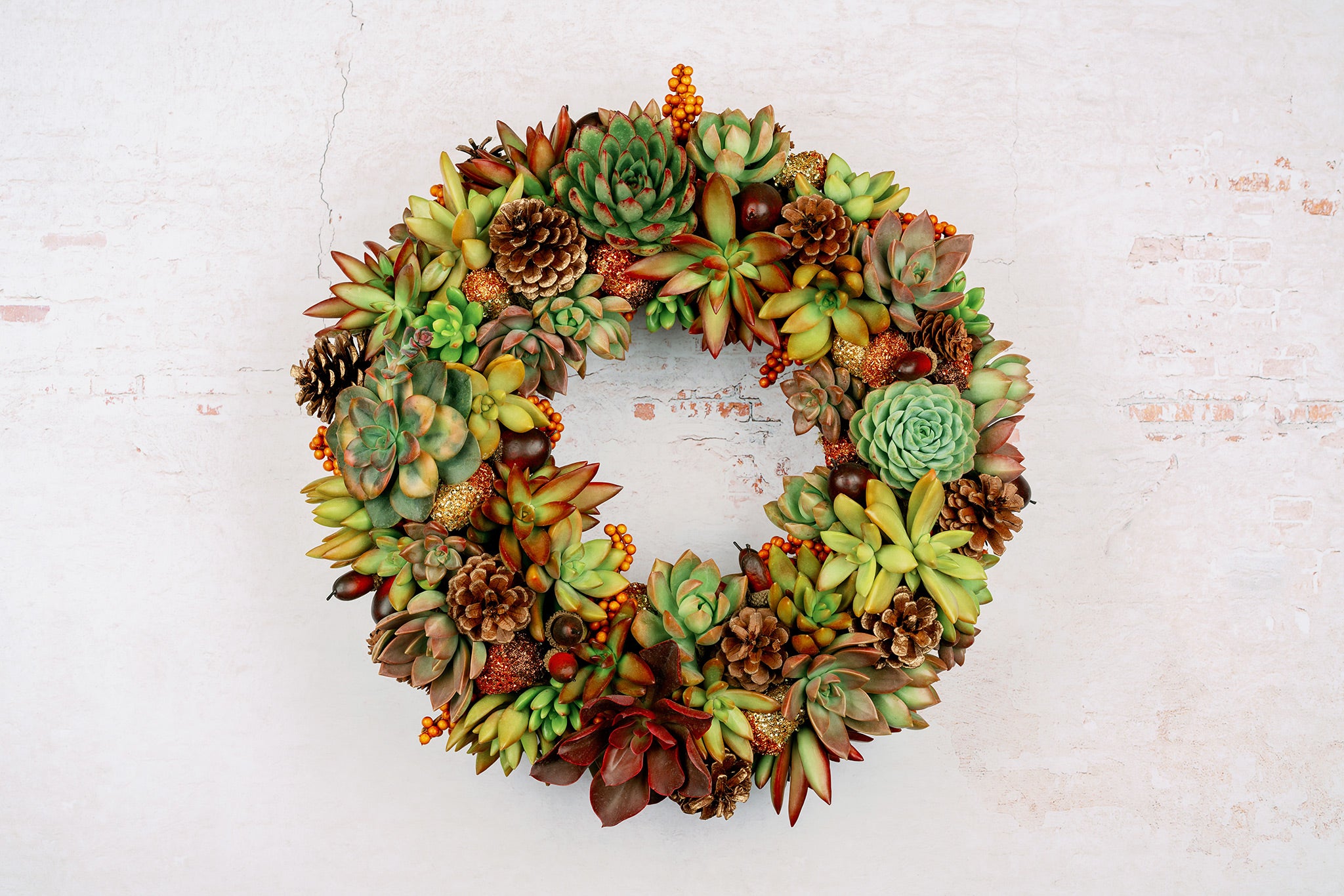 succulent wreaths for front door Fall Succulent Door Wreath for Thanksgiving Halloween