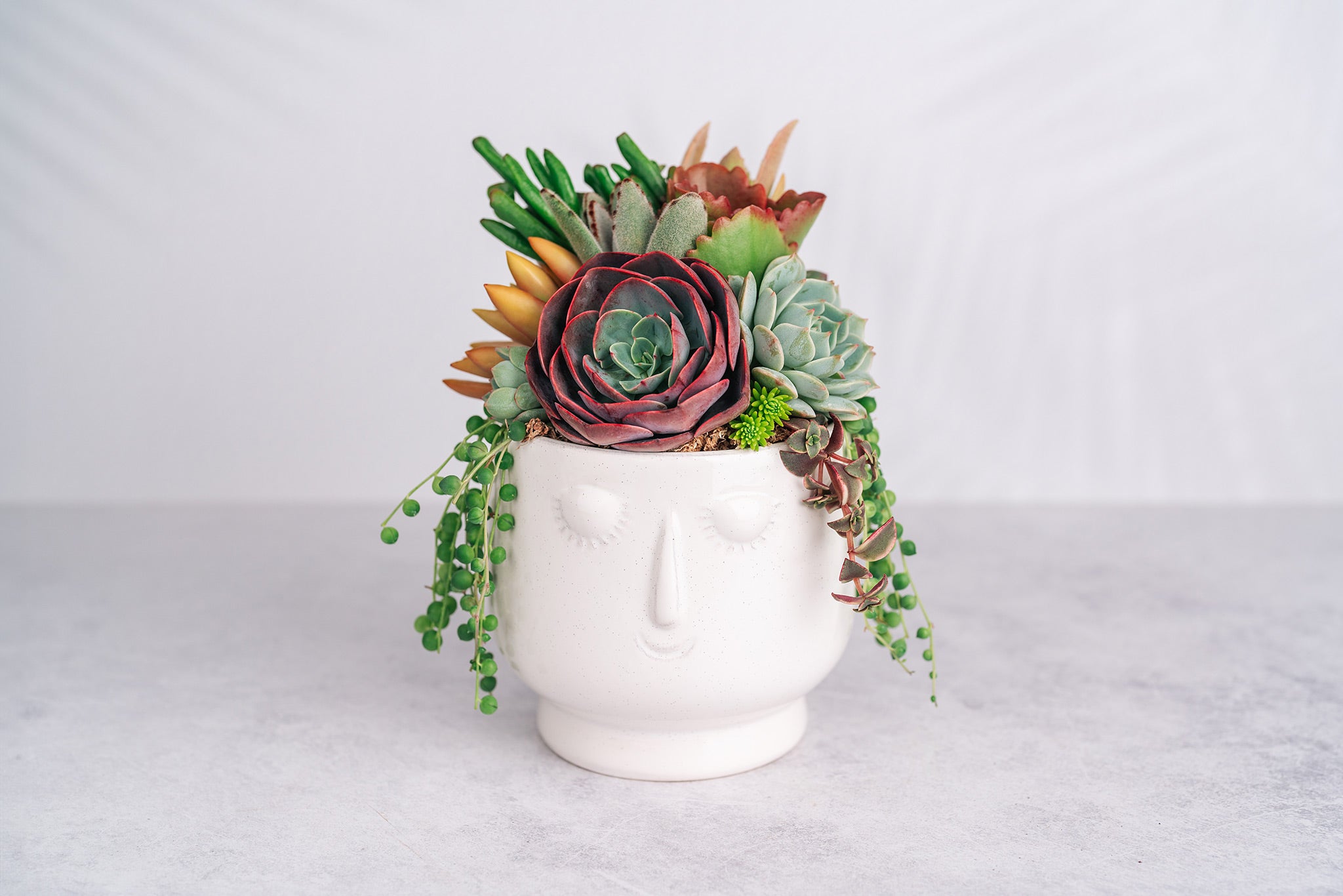 succulent head planter Goddess Succulent Arrangement in White Ceramic Planter