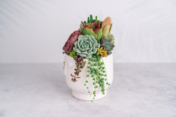 Goddess Succulent Arrangement in White Ceramic Planter