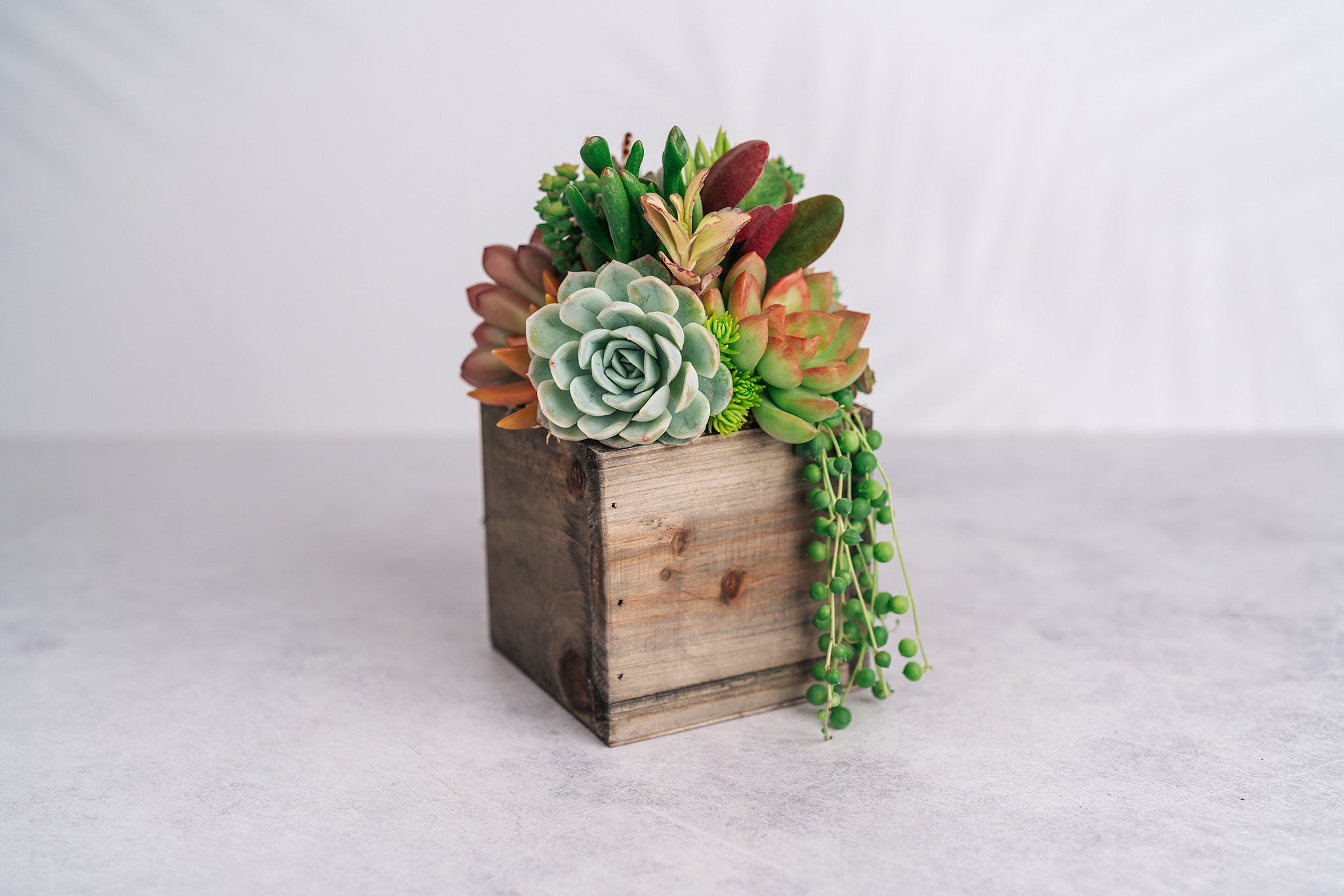 wood succulents Small Wood Rustic Succulent Arrangement Planter