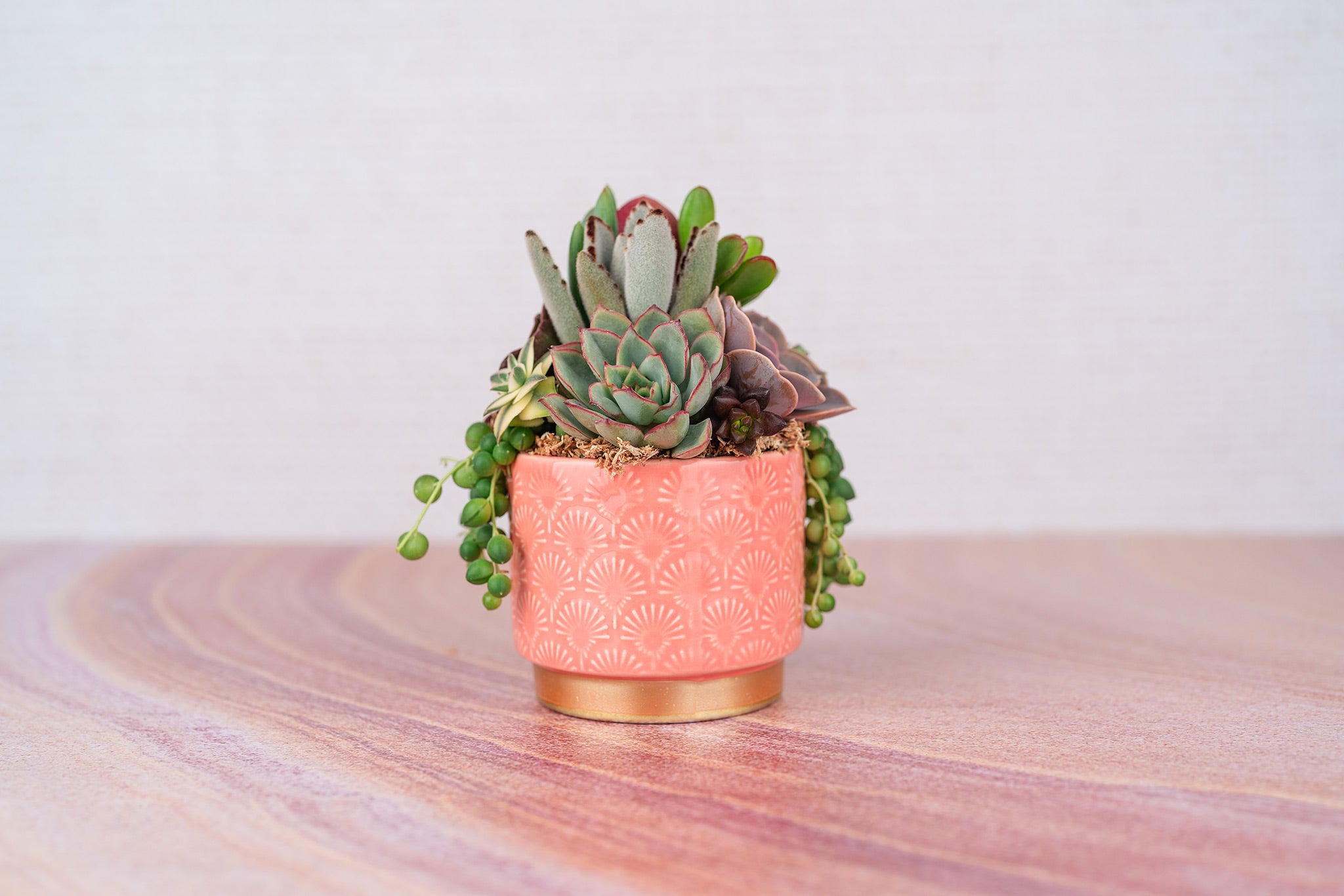 rose gold succulent pot Peach and Gold Patterned Small Living Succulent Arrangement