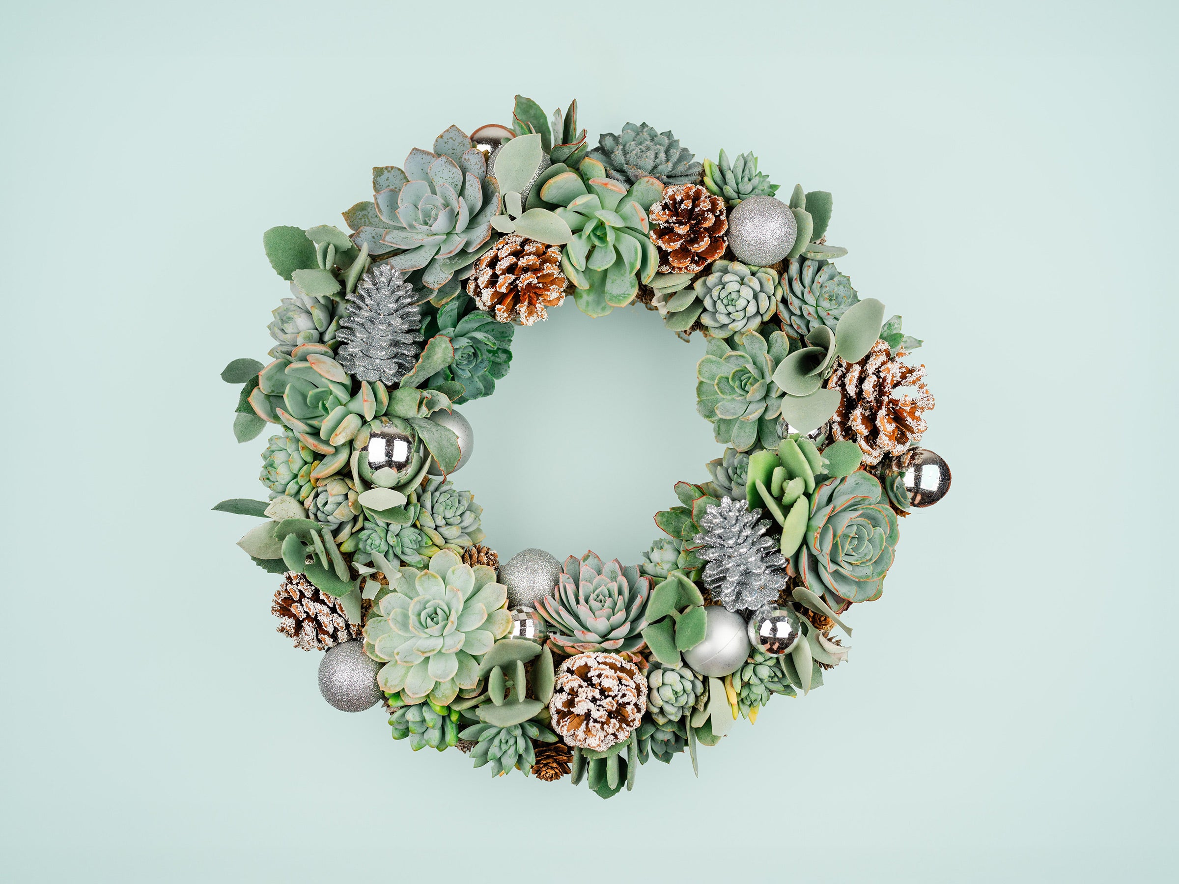 Succulent Holiday Door Wreath