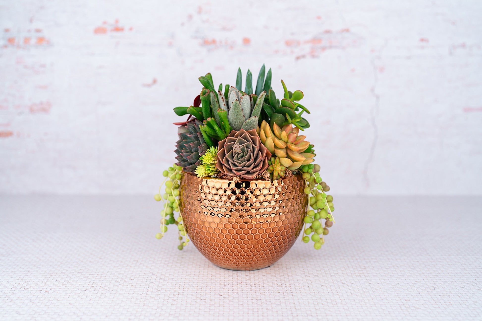 Copper Honeycomb Succulent Arrangement Planter: Modern Living Succulent Gift, Centerpiece for Weddings & Events, Anniversary Gift