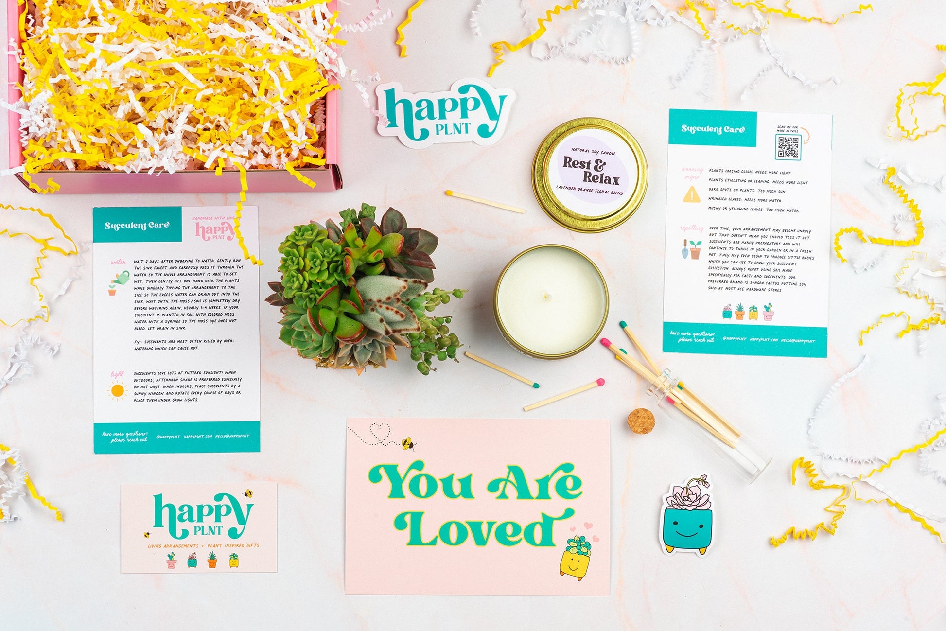 Relax, It's Your Birthday Succulent Gift Box | Living Succulent Arrangement + Personalized Greeting Card, Happy Birthday Gift