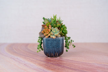 Mini Blue Square Succulent Arrangement Planter