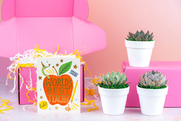 World's Best Teacher Gift Box | 3 Living Succulent Pots + Personalized Greeting Card, Teacher or Tutor Appreciation Gift