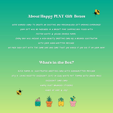 You Got This Succulent Gift Box | 3 Living Succulent Pots + Personalized Greeting Card, Encouragement, Supportive Gift
