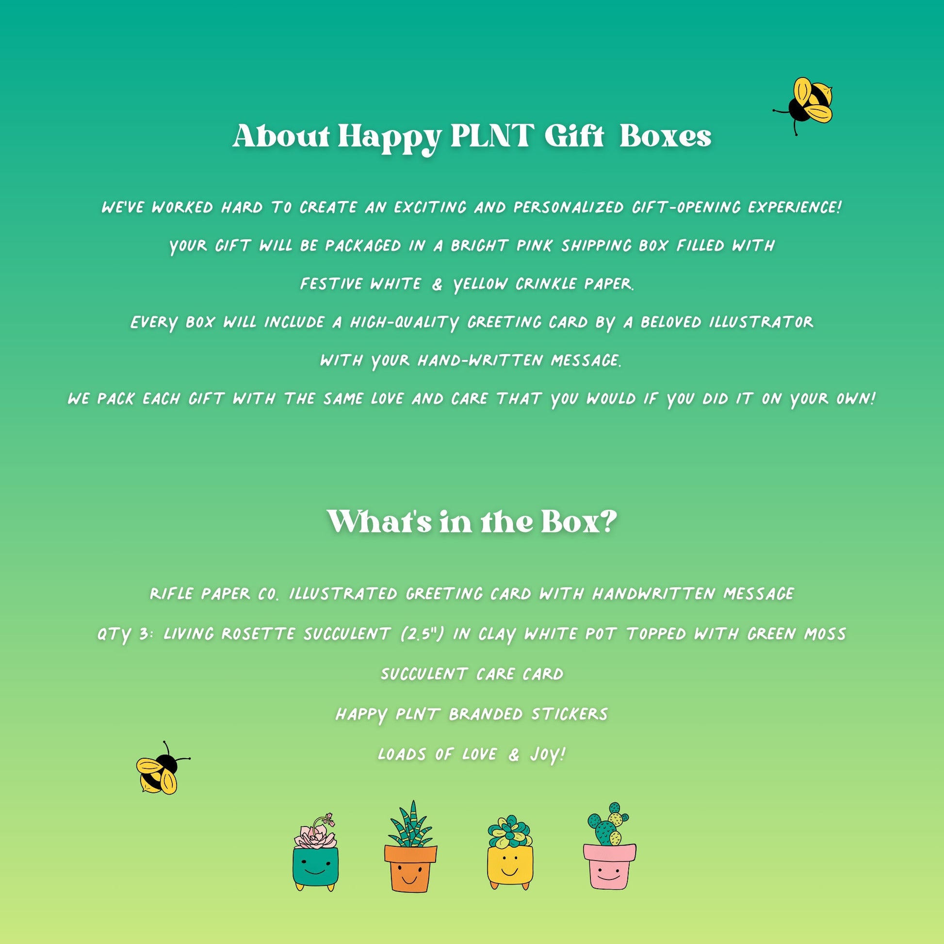 Thanks a Bunch Succulent Gift Box | 3 Living Succulent Pots + Personalized Greeting Card, Gratitude & Appreciation Gift