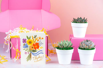 Thanks a Bunch Succulent Gift Box | 3 Living Succulent Pots + Personalized Greeting Card, Gratitude & Appreciation Gift
