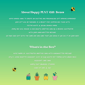 World's Best Teacher Gift Box | 3 Living Succulent Pots + Personalized Greeting Card, Teacher or Tutor Appreciation Gift