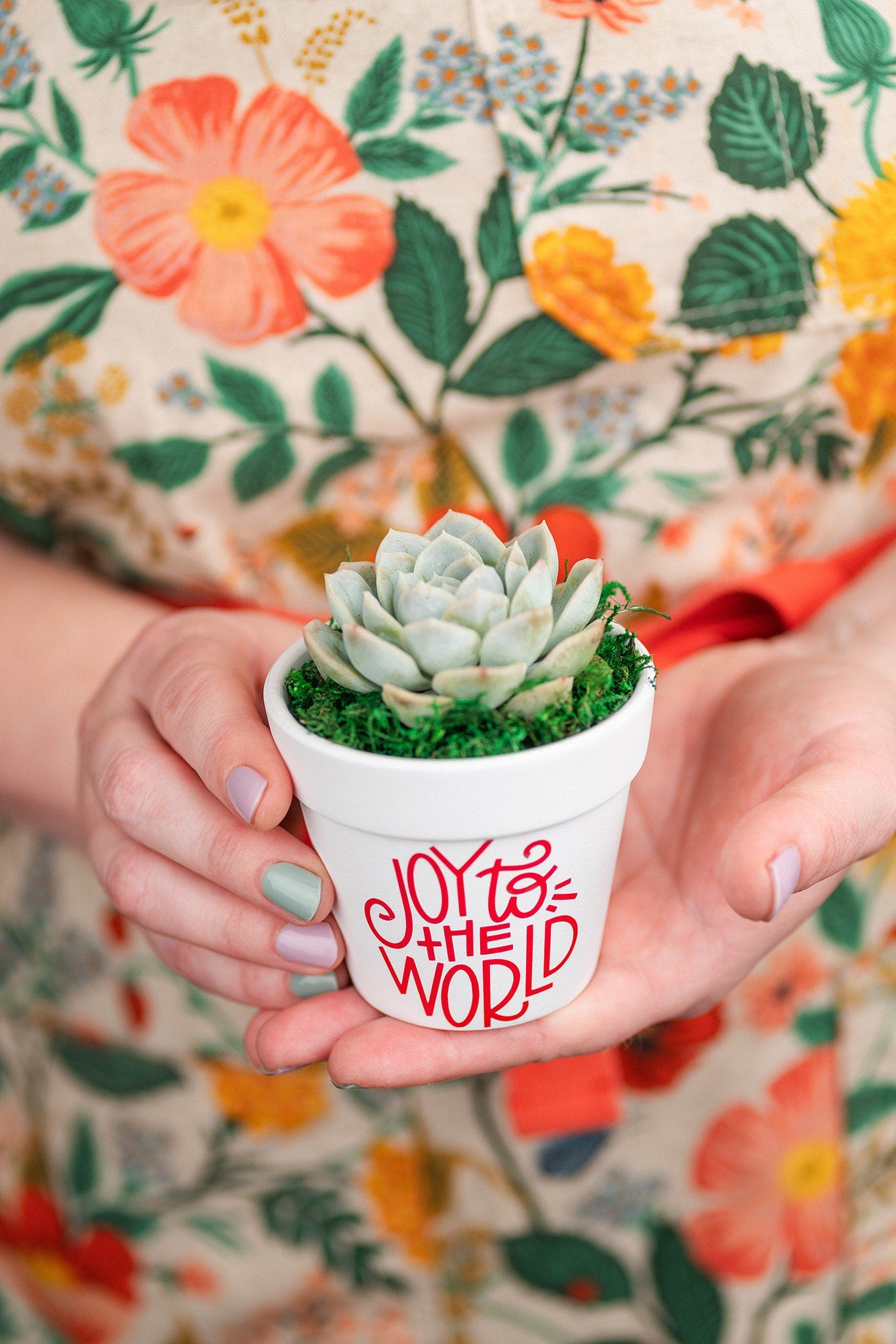 QTY 5+: Small White Living Succulent Favors w/ Custom Color Moss Topping in Clay Pot | Bulk Event Guest Gifts for Weddings, Showers, Parties