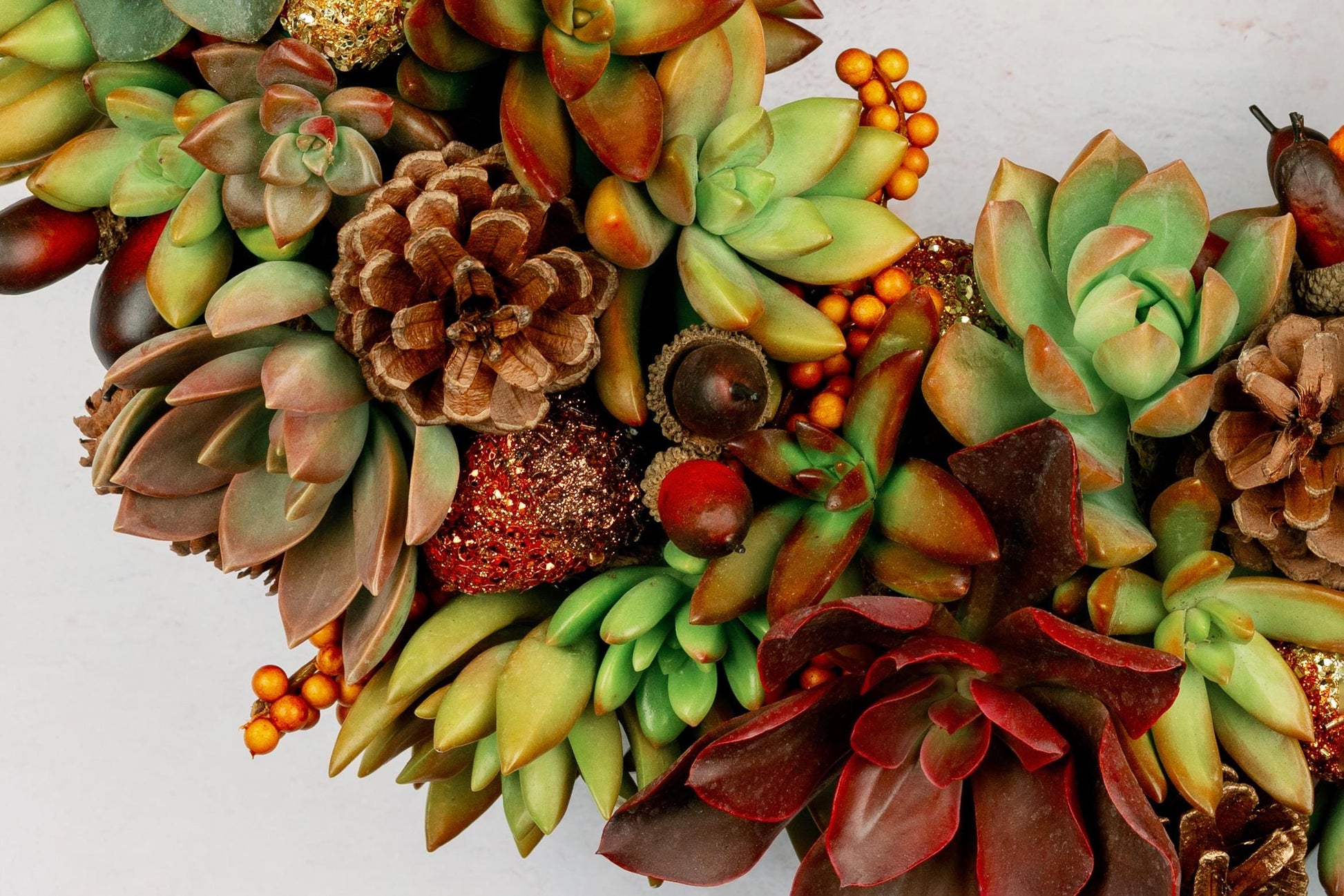 Fall Succulent Door Wreath for Thanksgiving Halloween | Natural Autumn Home Decor