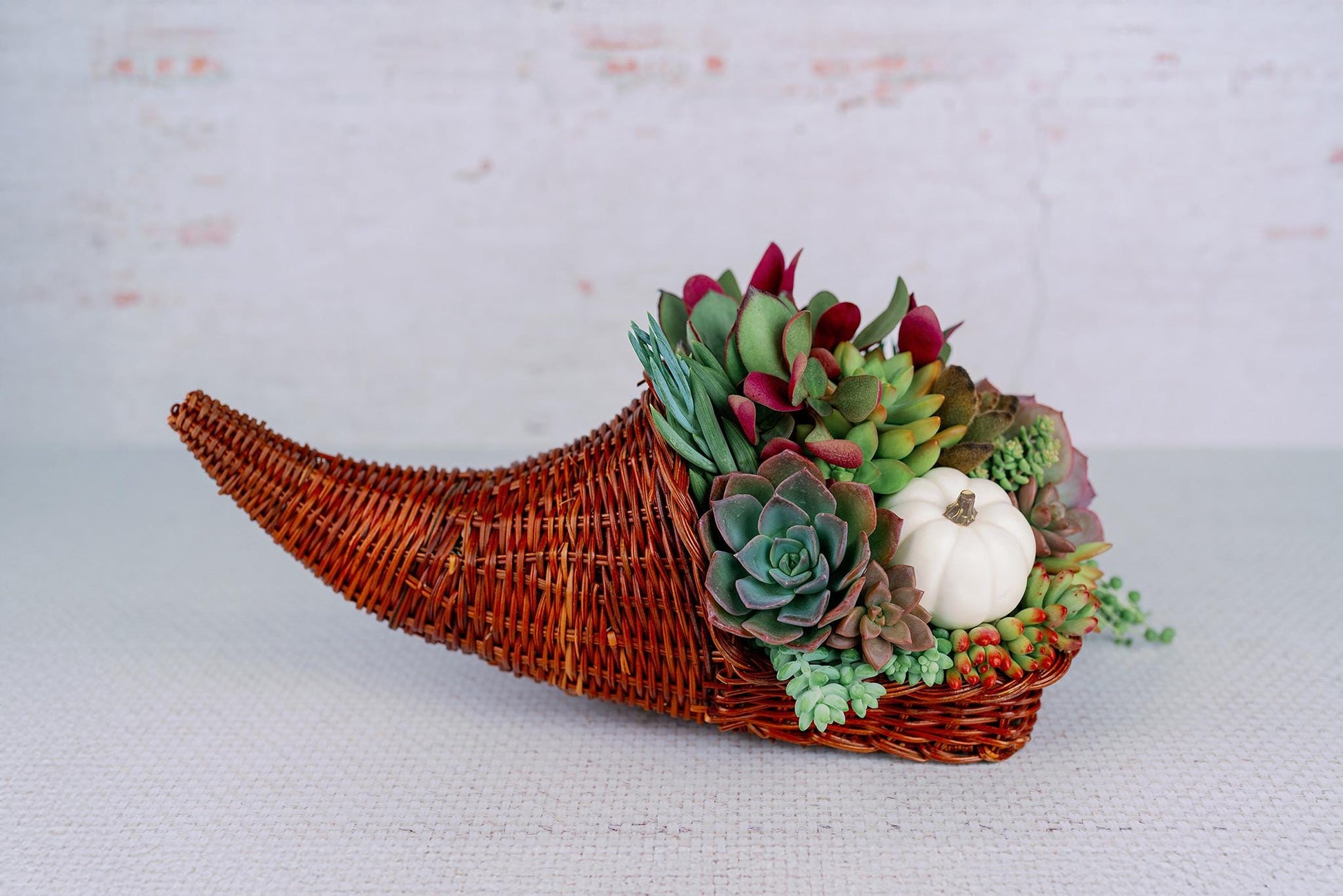 Cornucopia Succulent Arrangement
