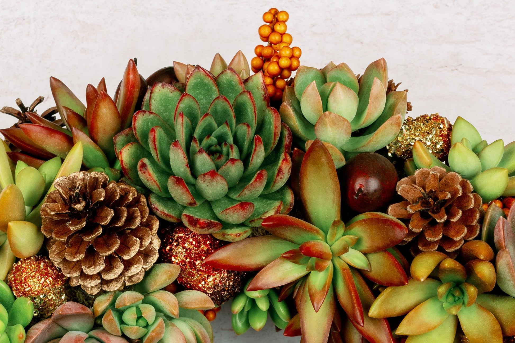 Fall Succulent Door Wreath for Thanksgiving Halloween | Natural Autumn Home Decor