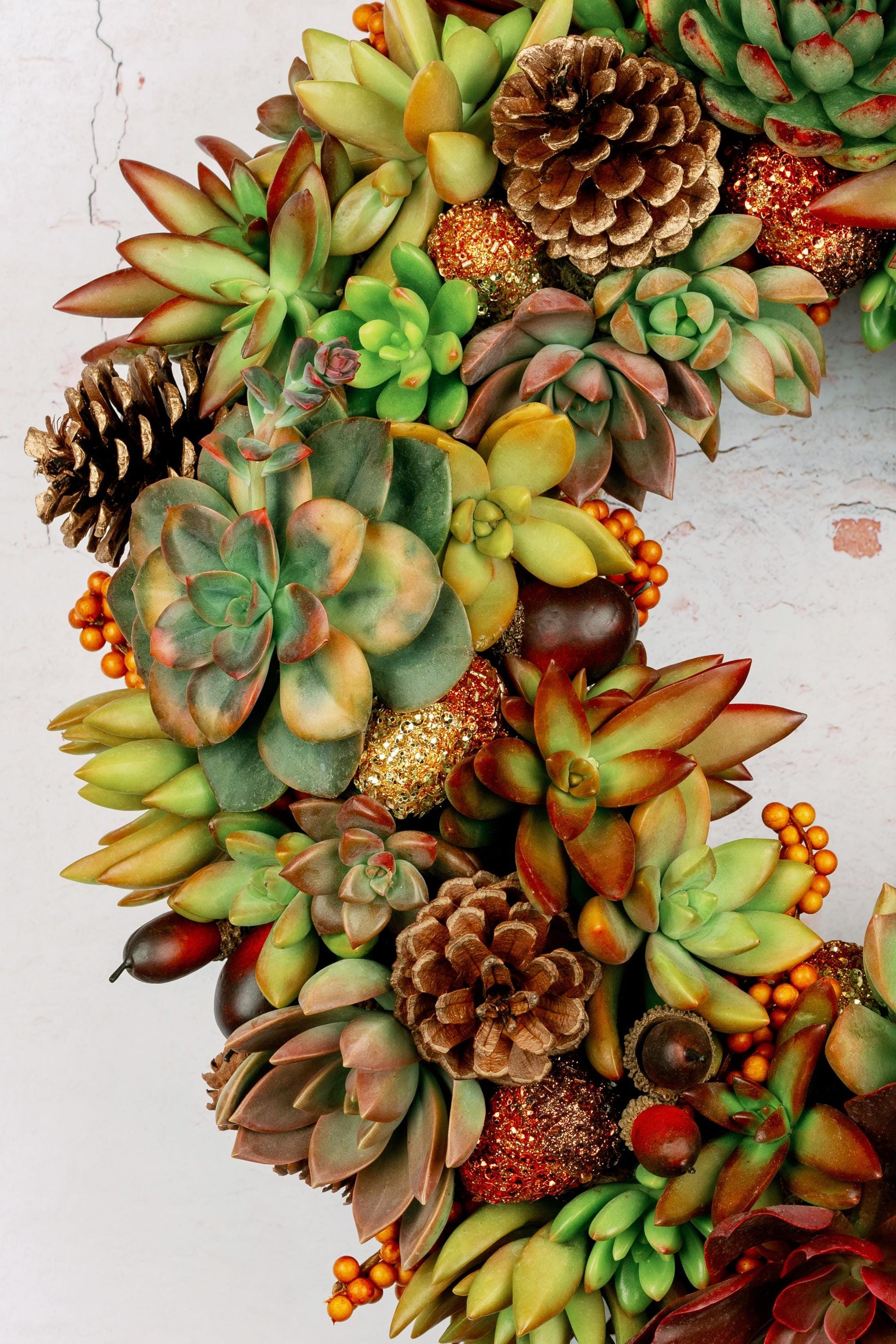 Fall Succulent Door Wreath for Thanksgiving Halloween | Natural Autumn Home Decor