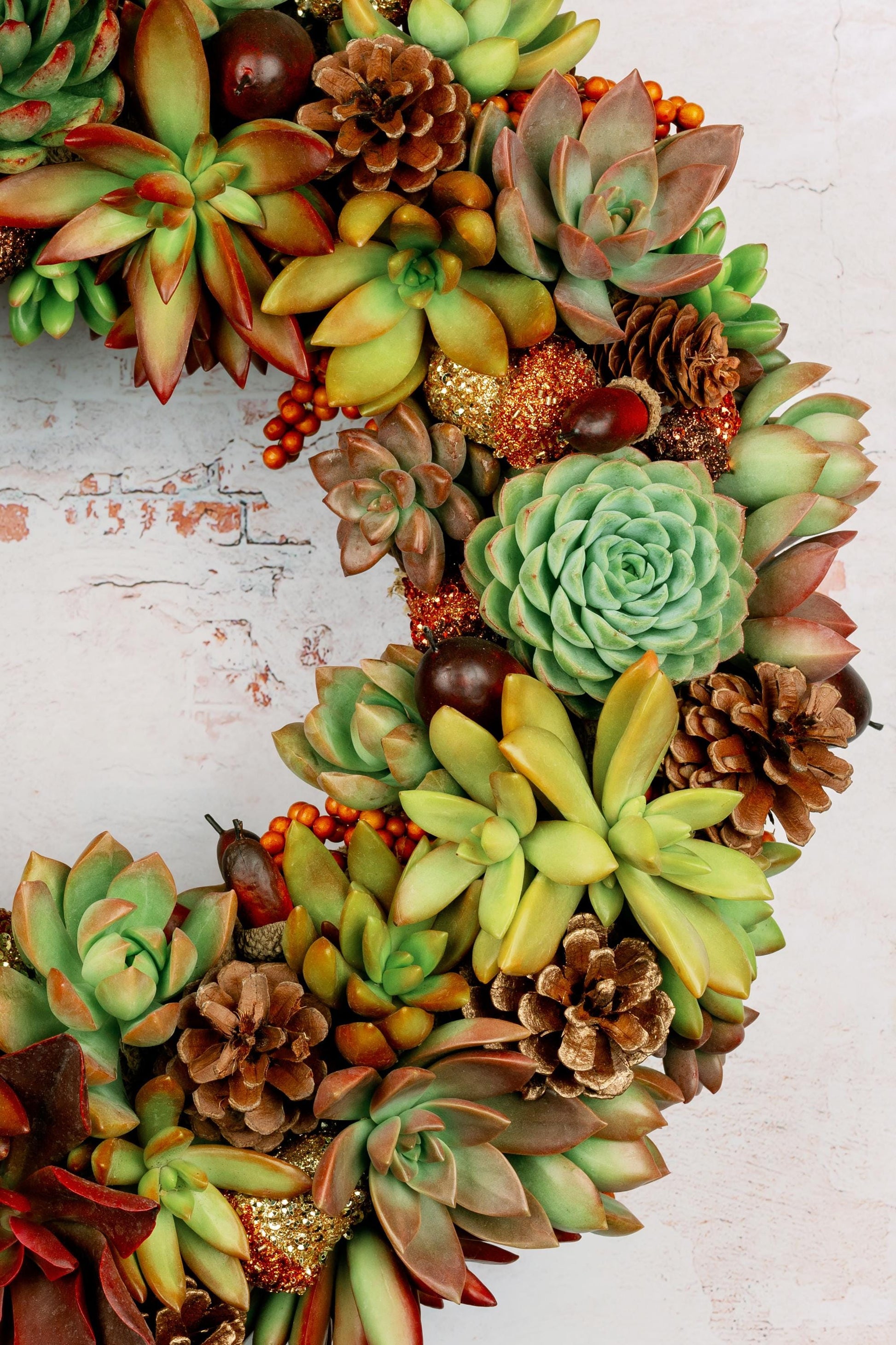 Fall Succulent Door Wreath for Thanksgiving Halloween | Natural Autumn Home Decor