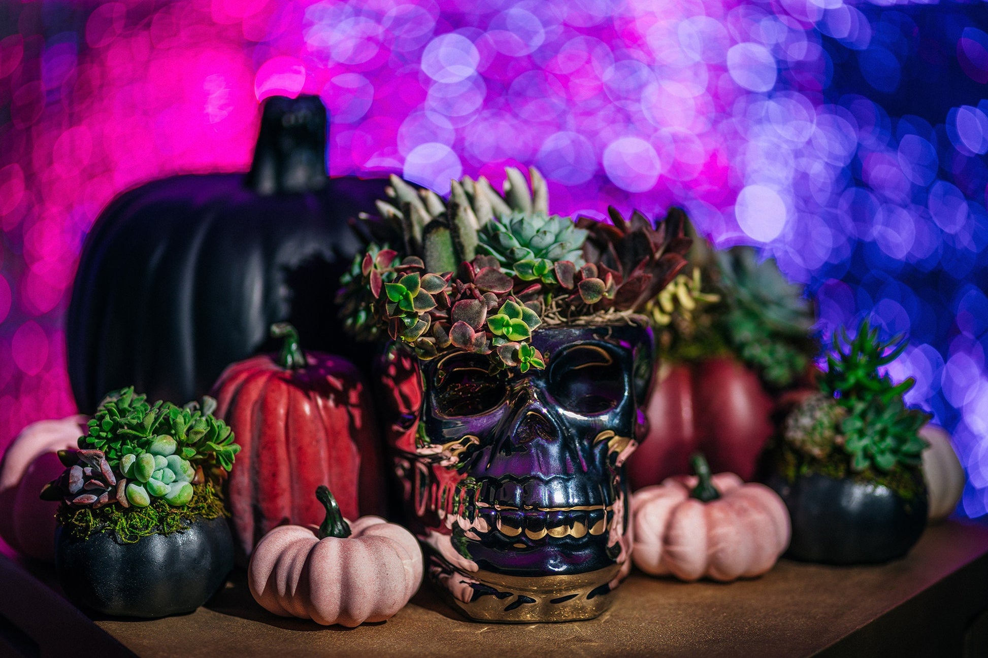 Chrome Skull Succulent Planter for Halloween & Day of Dead Home Decor | Autumn Decorating