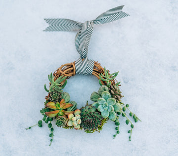Mini Living Succulent Wreath Ornament |  | Succulent Gift | Gift for Teachers, Hostess, Friends and Mom