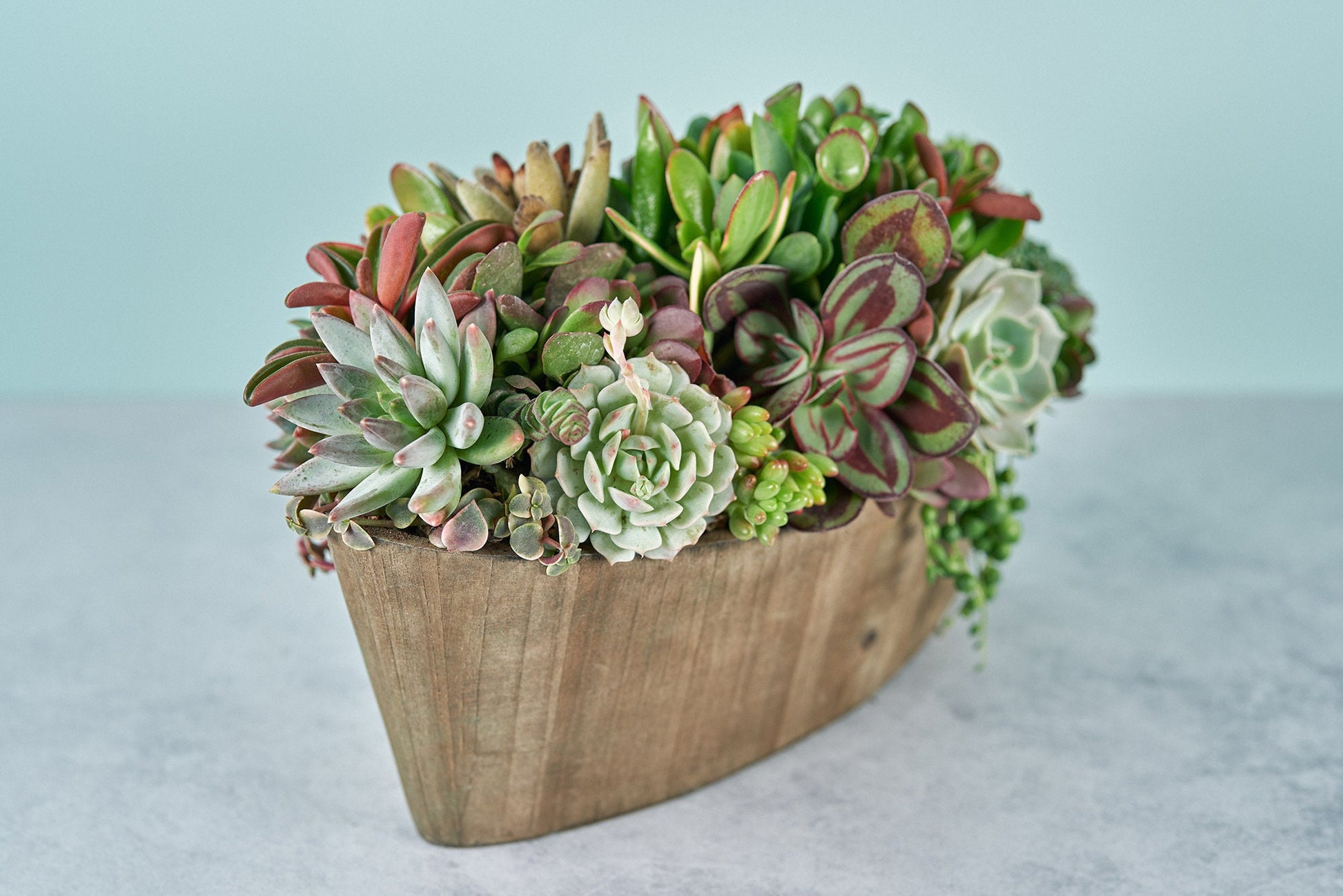 Rustic Woodland Succulent Boat Arrangement | Floral Centerpiece | Earth Friendly Event Table Decor