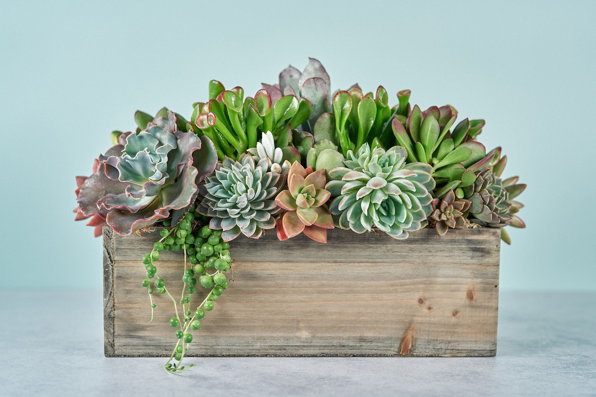 Rustic Wood Rectangle Succulent Arrangement Planter: Living Succulent Gift or Centerpiece for Weddings & Events