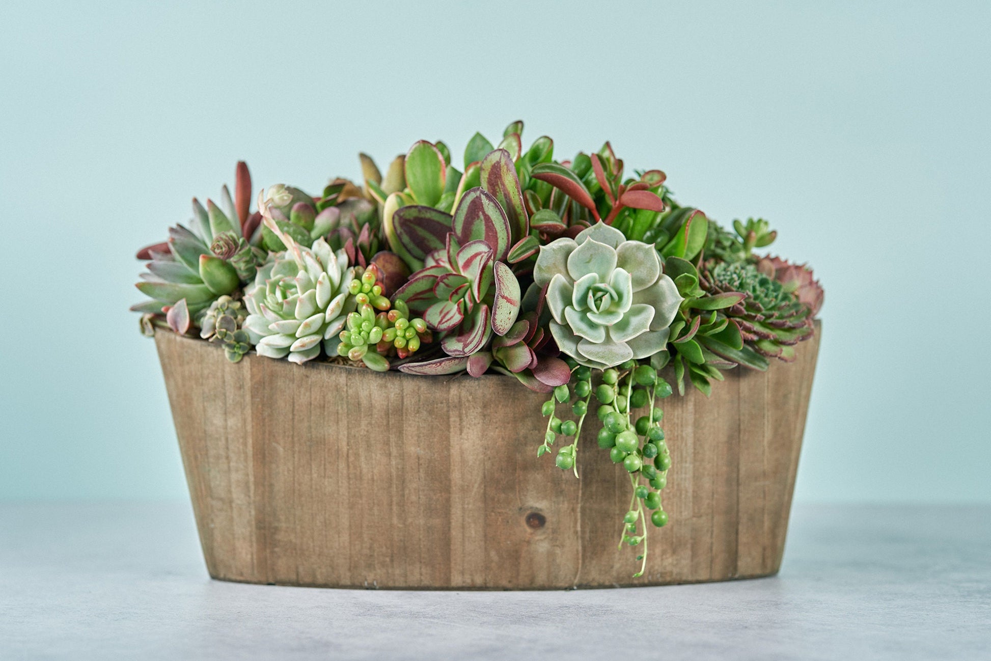 Rustic Woodland Succulent Boat Arrangement | Floral Centerpiece | Earth Friendly Event Table Decor