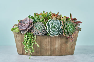 Rustic Woodland Succulent Boat Arrangement | Floral Centerpiece | Earth Friendly Event Table Decor