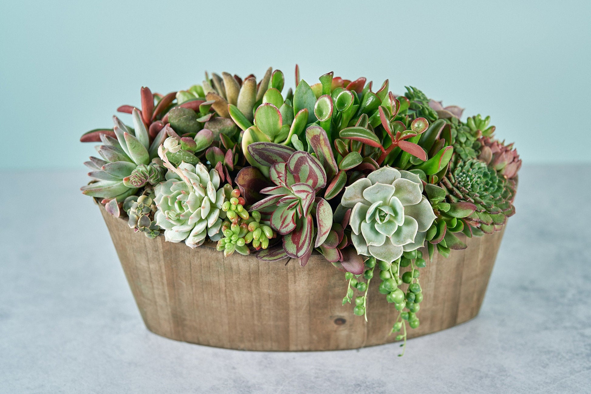 Rustic Woodland Succulent Boat Arrangement | Floral Centerpiece | Earth Friendly Event Table Decor
