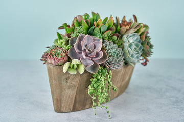 Rustic Woodland Succulent Boat Arrangement | Floral Centerpiece | Earth Friendly Event Table Decor