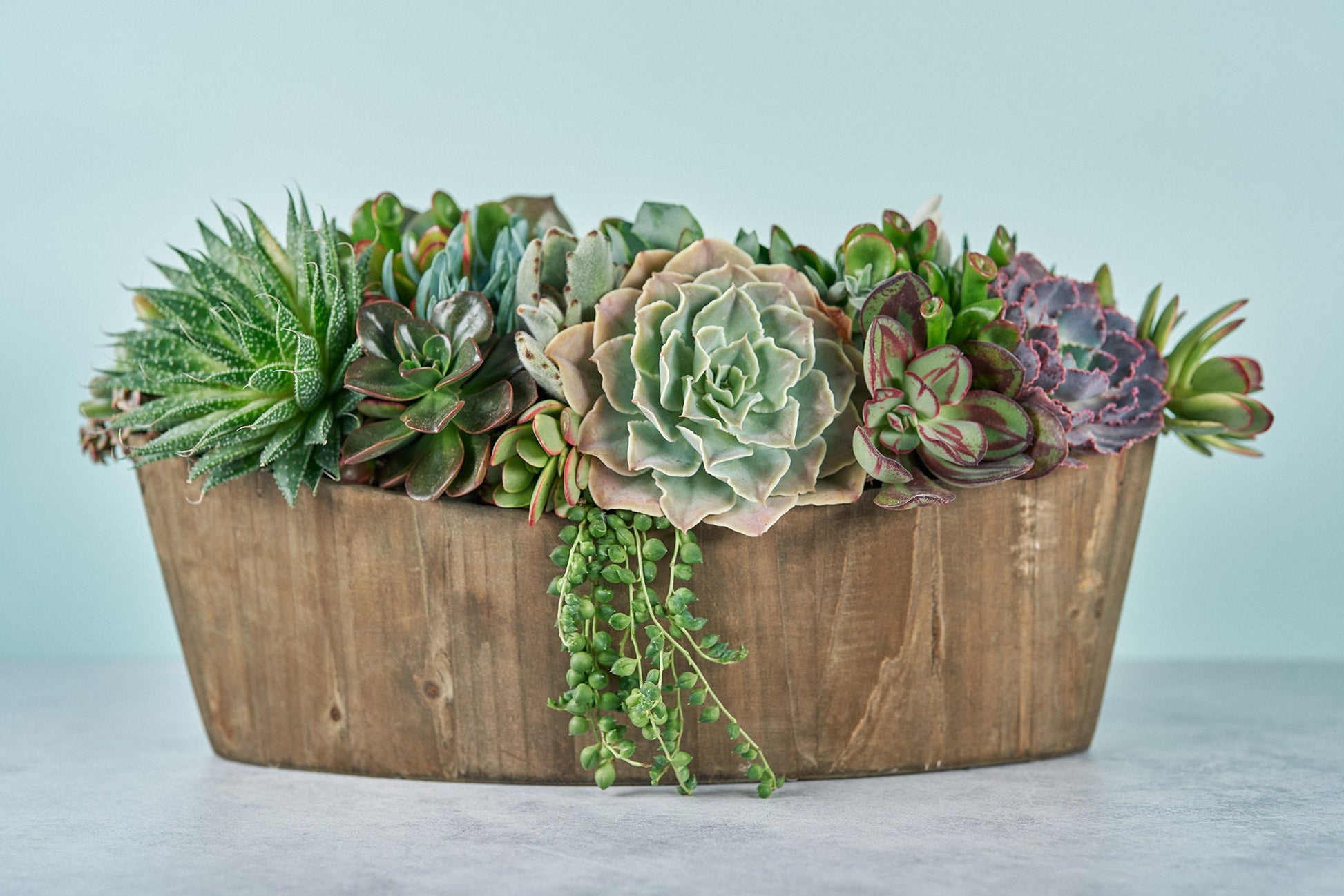 Rustic Woodland Succulent Boat Arrangement | Floral Centerpiece | Earth Friendly Event Table Decor