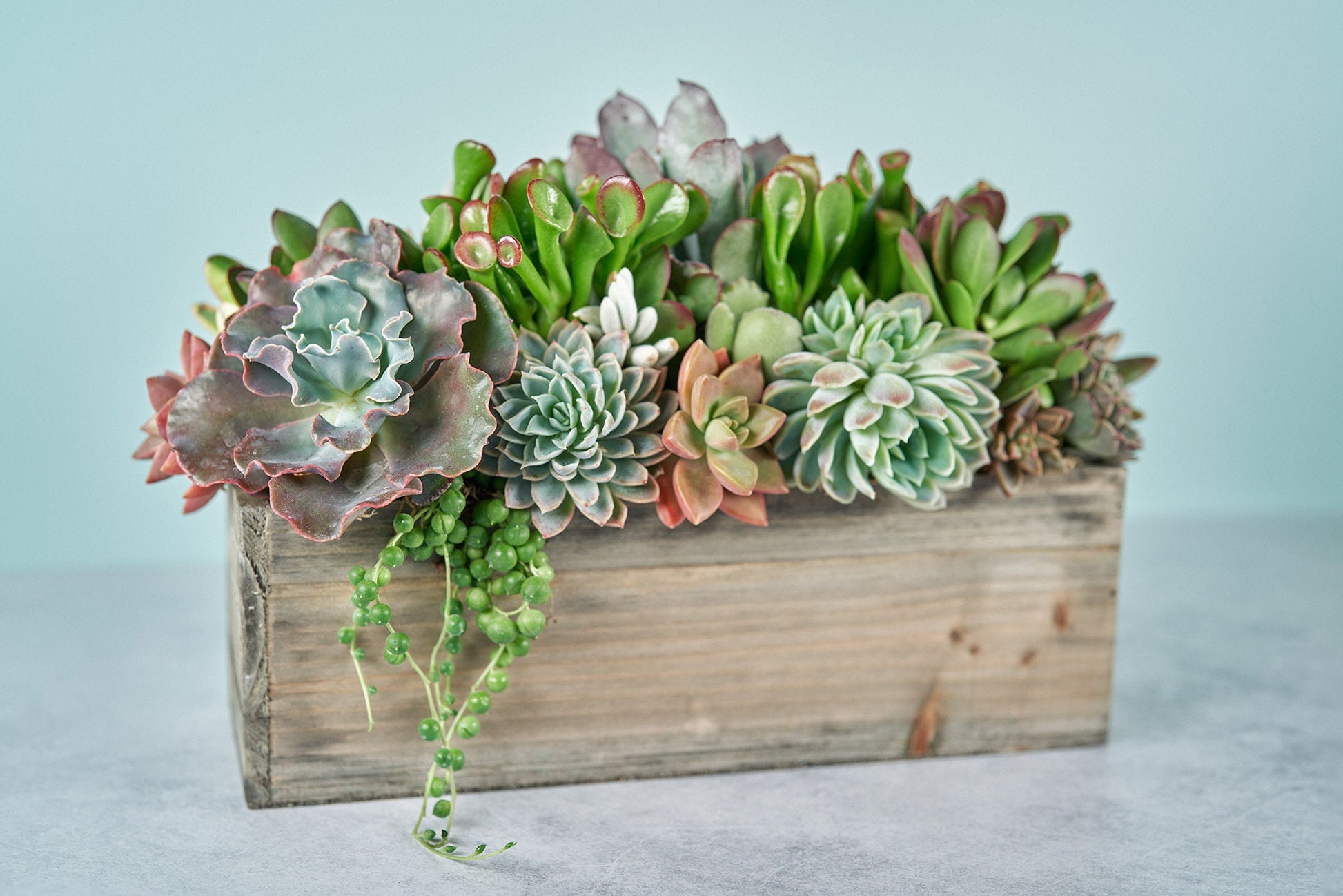 Rustic Wood Rectangle Succulent Arrangement Planter: Living Succulent Gift or Centerpiece for Weddings & Events