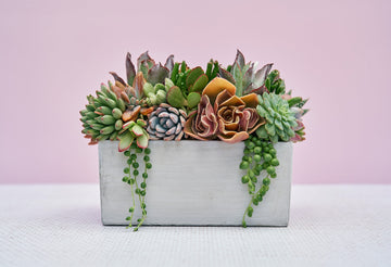 Concrete Rectangle Succulent Arrangement Gift | Alt Floral Wedding Event Centerpiece | Mother's Day Gift