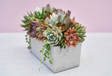 Concrete Rectangle Succulent Arrangement Gift | Alt Floral Wedding Event Centerpiece | Mother's Day Gift