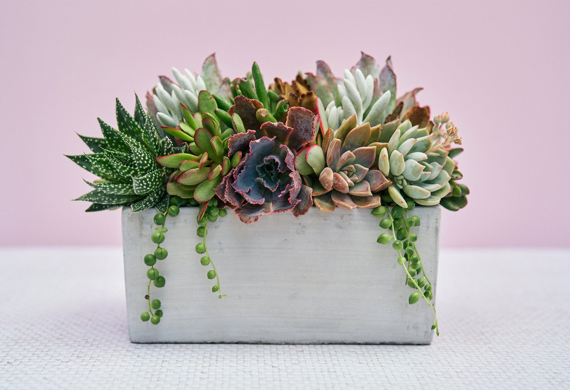 Concrete Rectangle Succulent Arrangement Gift | Alt Floral Wedding Event Centerpiece | Mother's Day Gift