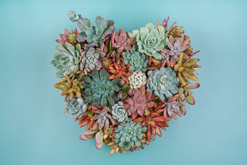 Living Succulent Heart Monogram Vertical Wall Garden 12" OR 18"  | Succulent Arrangement for Parties and Events