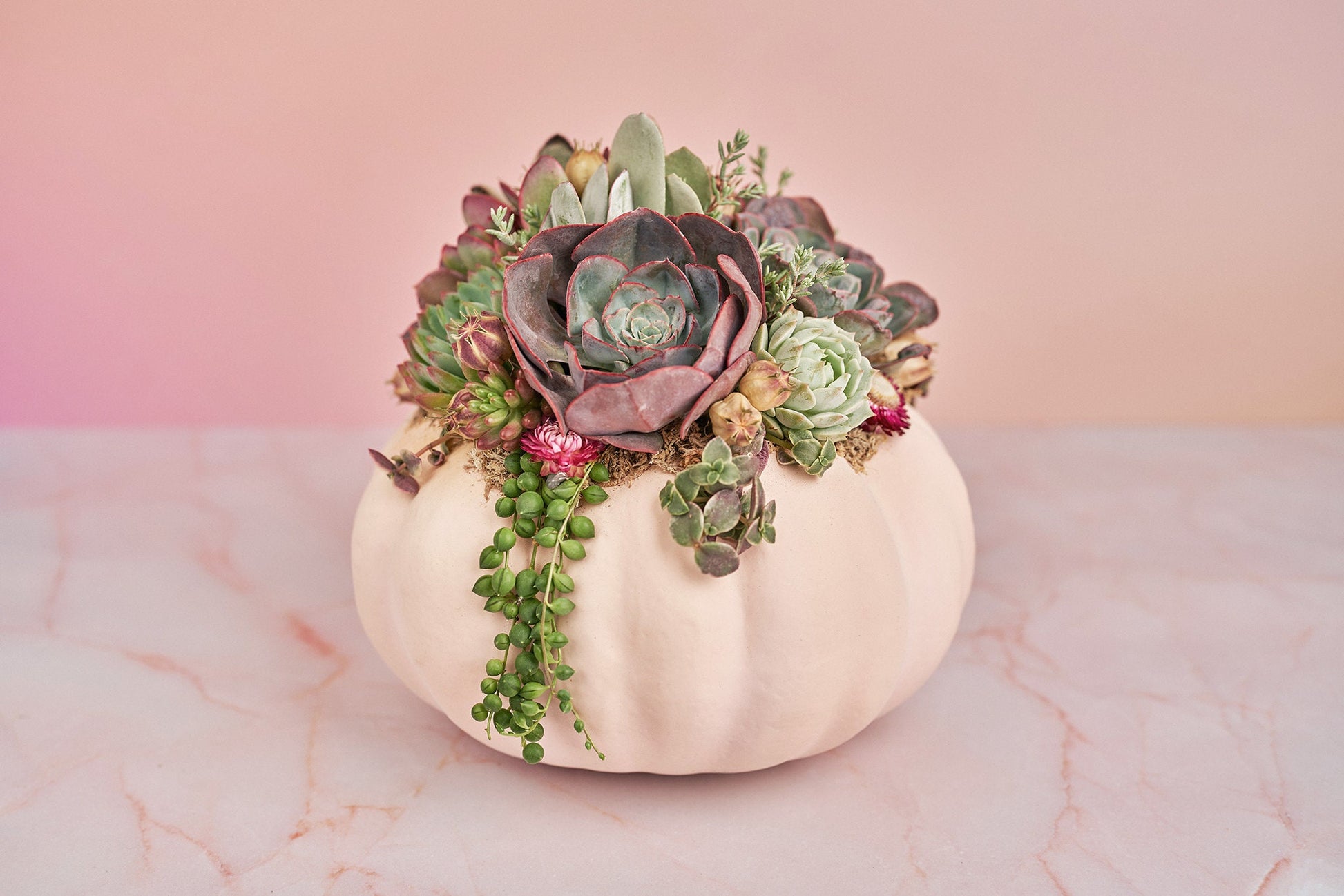 Large Blush Pink Succulent Pumpkin with Dried Floral Accents | Fall Gift for Housewarming & Hosts | Autumn Table Decor| Thanksgiving Table