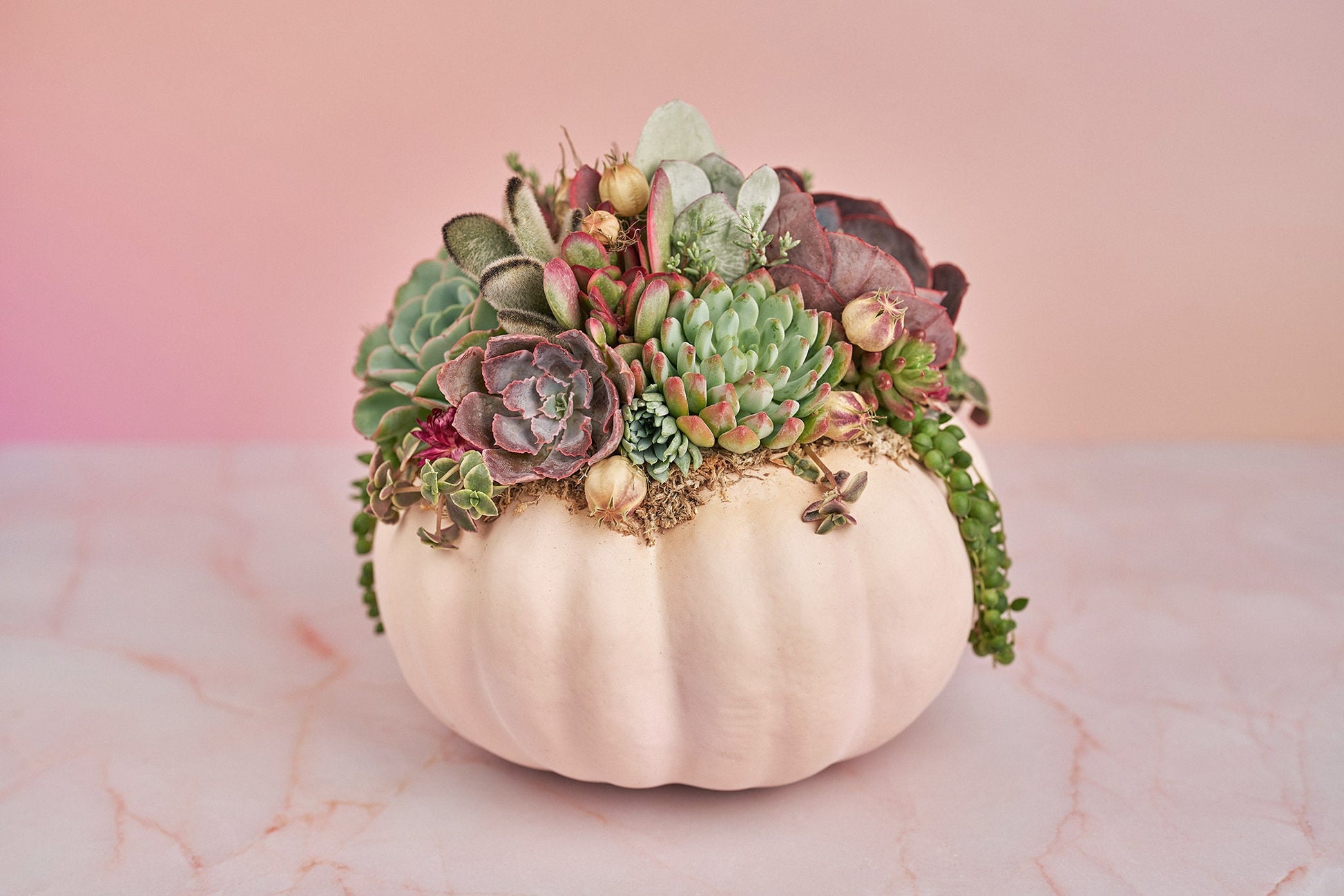 Large Blush Pink Succulent Pumpkin with Dried Floral Accents | Fall Gift for Housewarming & Hosts | Autumn Table Decor| Thanksgiving Table