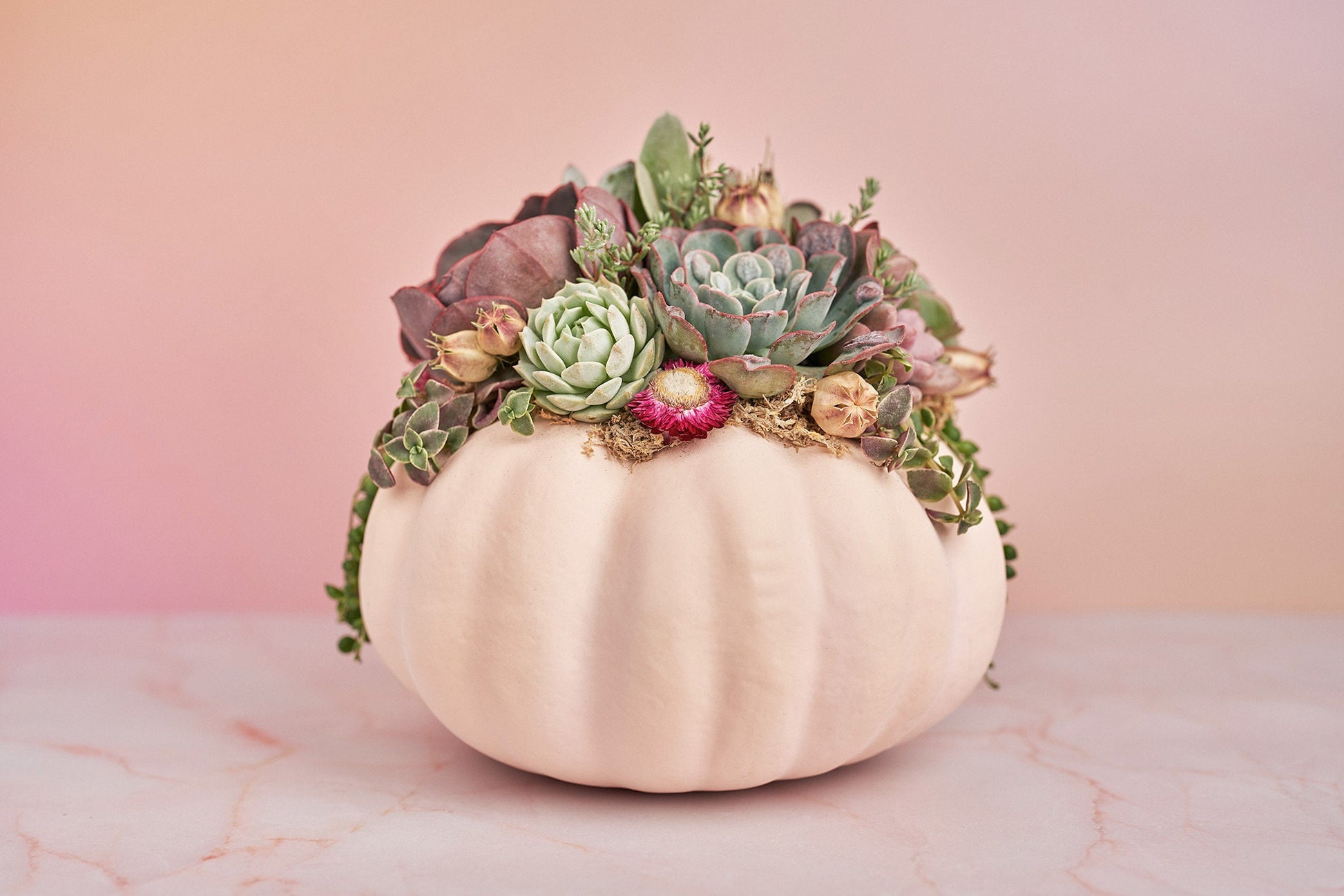 Large Blush Pink Succulent Pumpkin with Dried Floral Accents | Fall Gift for Housewarming & Hosts | Autumn Table Decor| Thanksgiving Table
