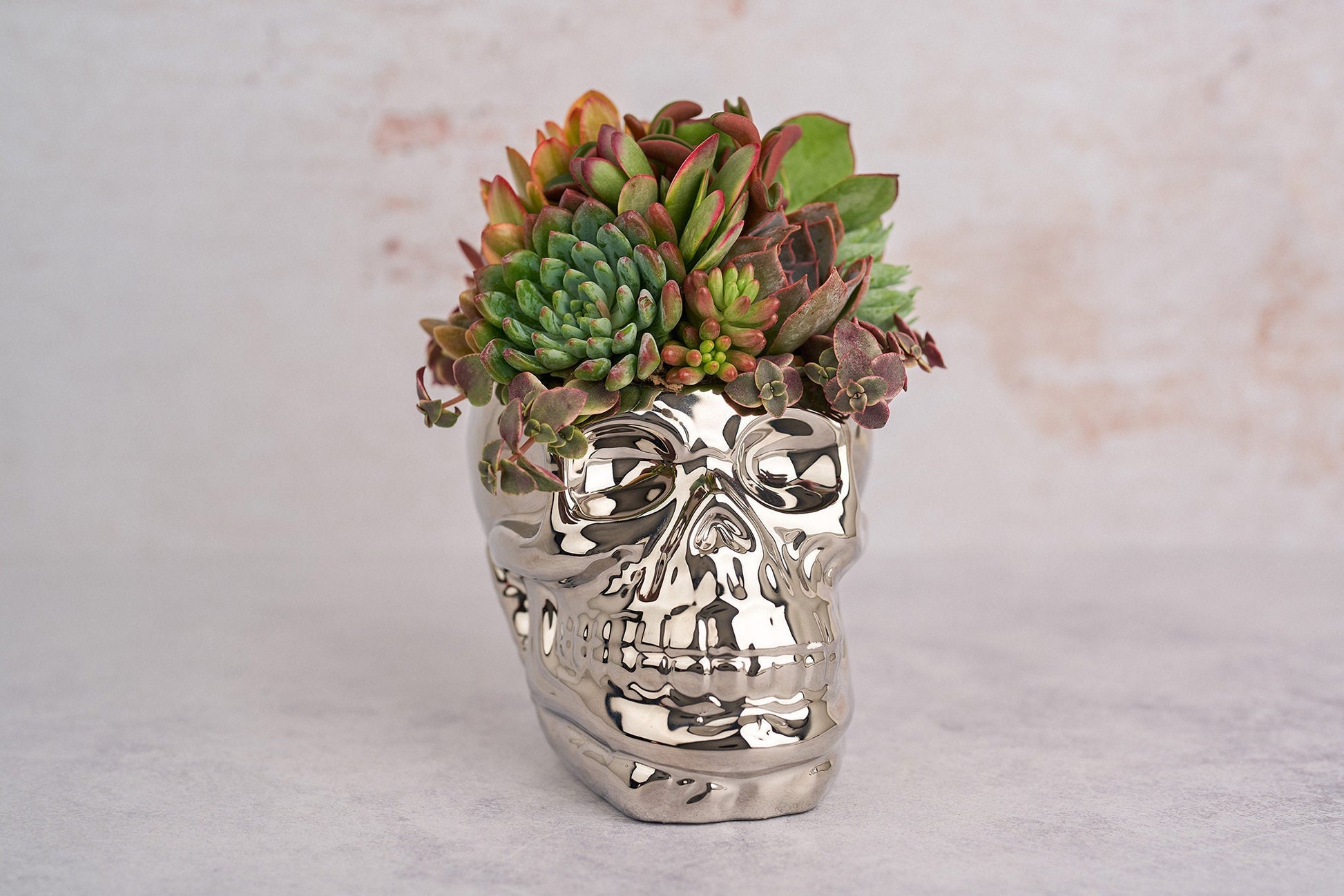 Chrome Skull Succulent Planter for Halloween & Day of Dead Home Decor | Autumn Decorating