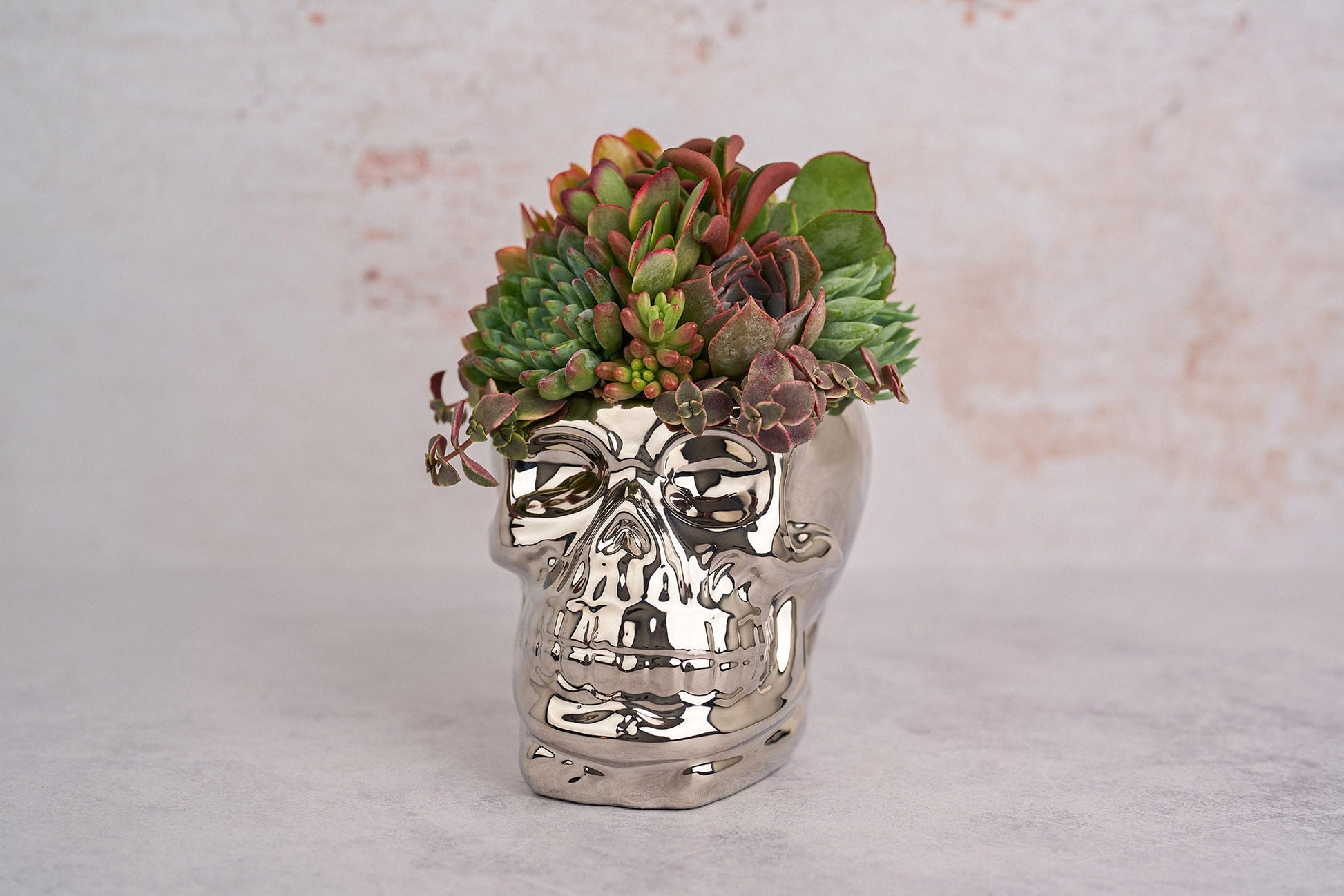 Chrome Skull Succulent Planter for Halloween & Day of Dead Home Decor | Autumn Decorating