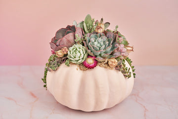 Large Blush Pink Succulent Pumpkin with Dried Floral Accents | Fall Gift for Housewarming & Hosts | Autumn Table Decor| Thanksgiving Table