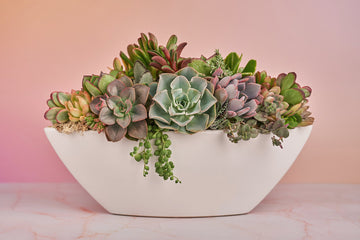 Long White Ceramic Boat Living Succulent Arrangement Gift | Alt Floral Wedding Event Centerpiece | Indoor Garden