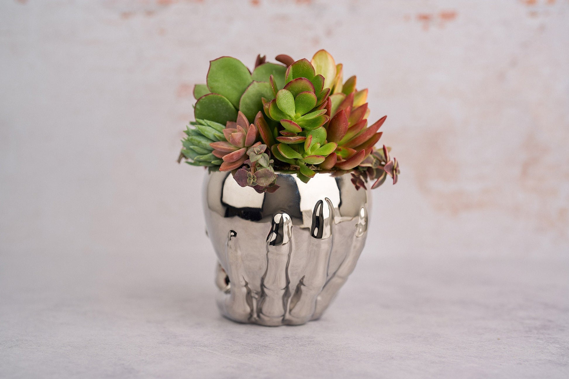 Chrome Skull Succulent Planter for Halloween & Day of Dead Home Decor | Autumn Decorating