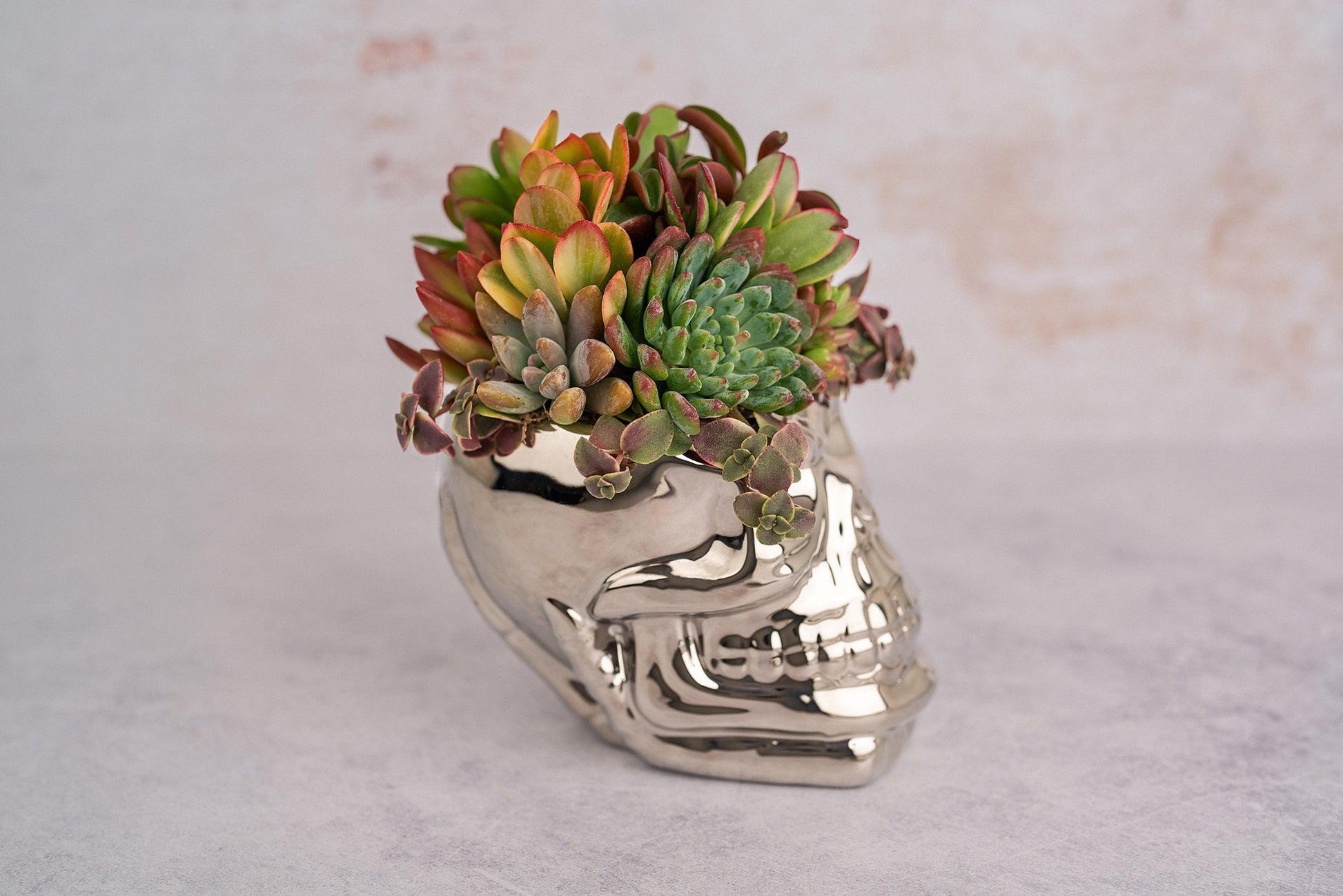 Chrome Skull Succulent Planter for Halloween & Day of Dead Home Decor | Autumn Decorating