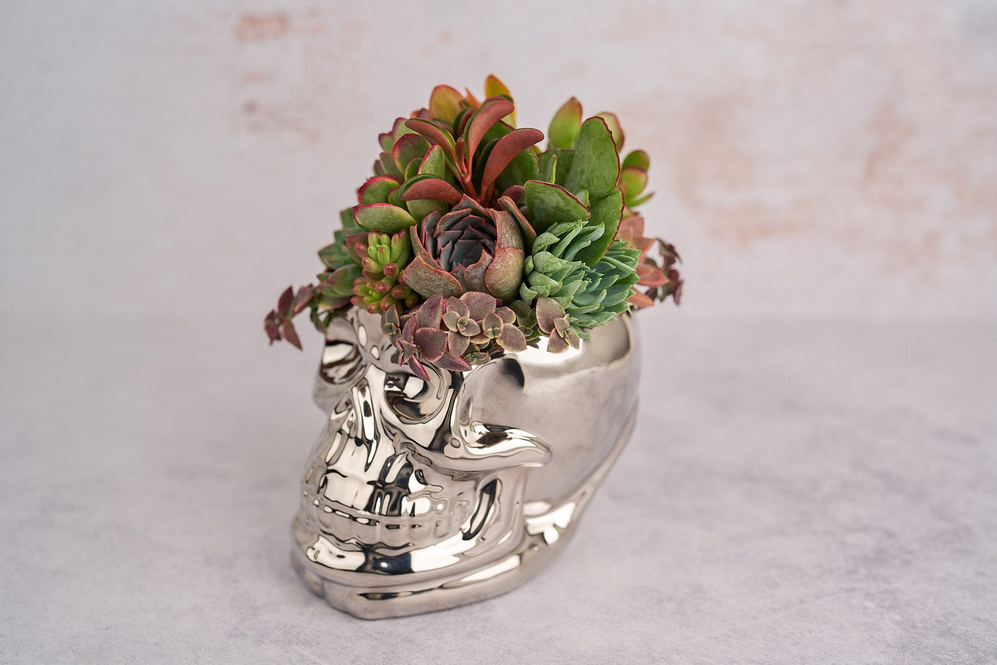 Chrome Skull Succulent Planter for Halloween & Day of Dead Home Decor | Autumn Decorating