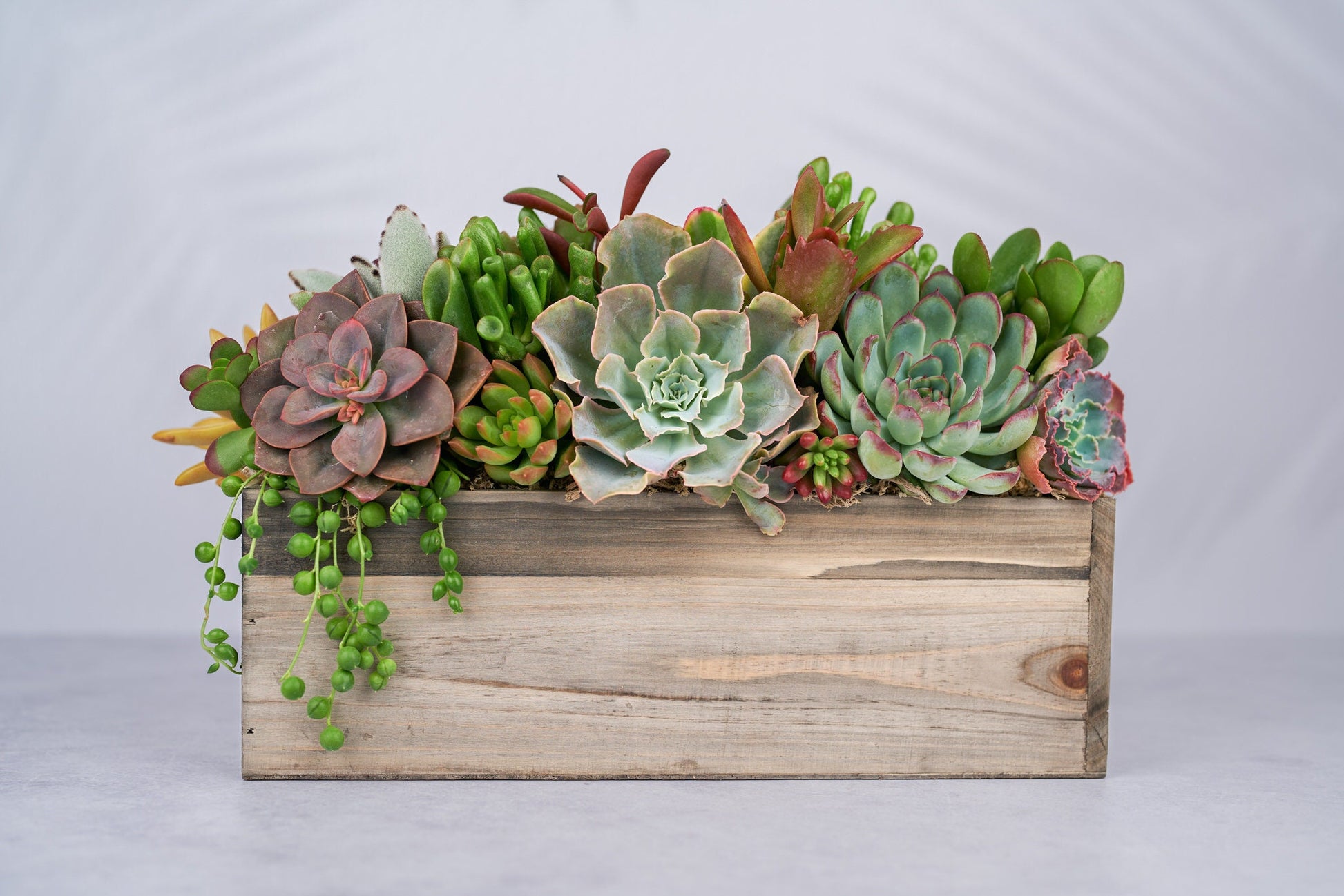Rustic Wood Rectangle Succulent Arrangement Planter: Living Succulent Gift or Centerpiece for Weddings & Events