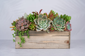 Rustic Wood Rectangle Succulent Arrangement Planter: Living Succulent Gift or Centerpiece for Weddings & Events