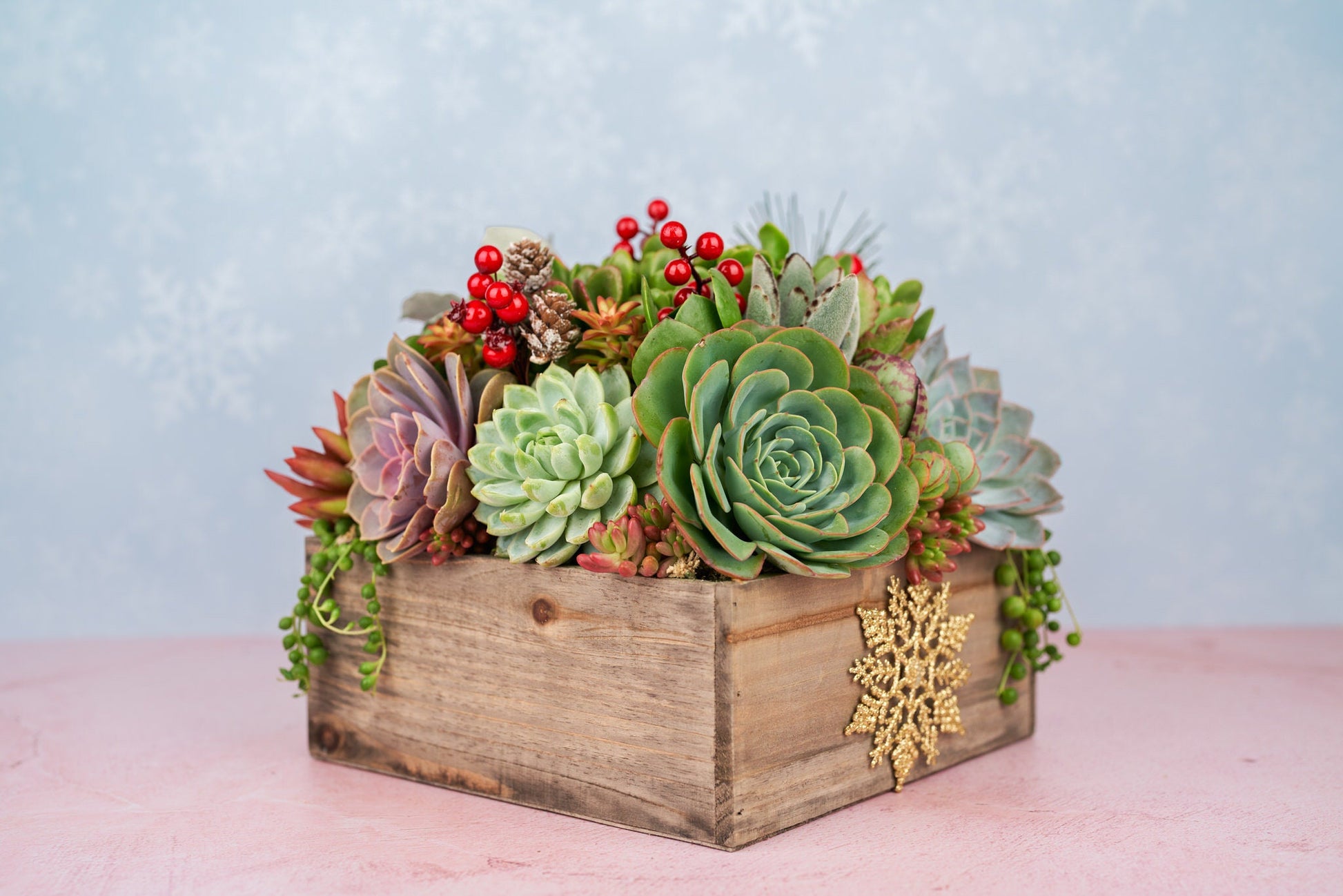 Christmas Holiday Rustic Wood Square Succulent Arrangement Planter: Winter Holiday Centerpiece or Home Decor