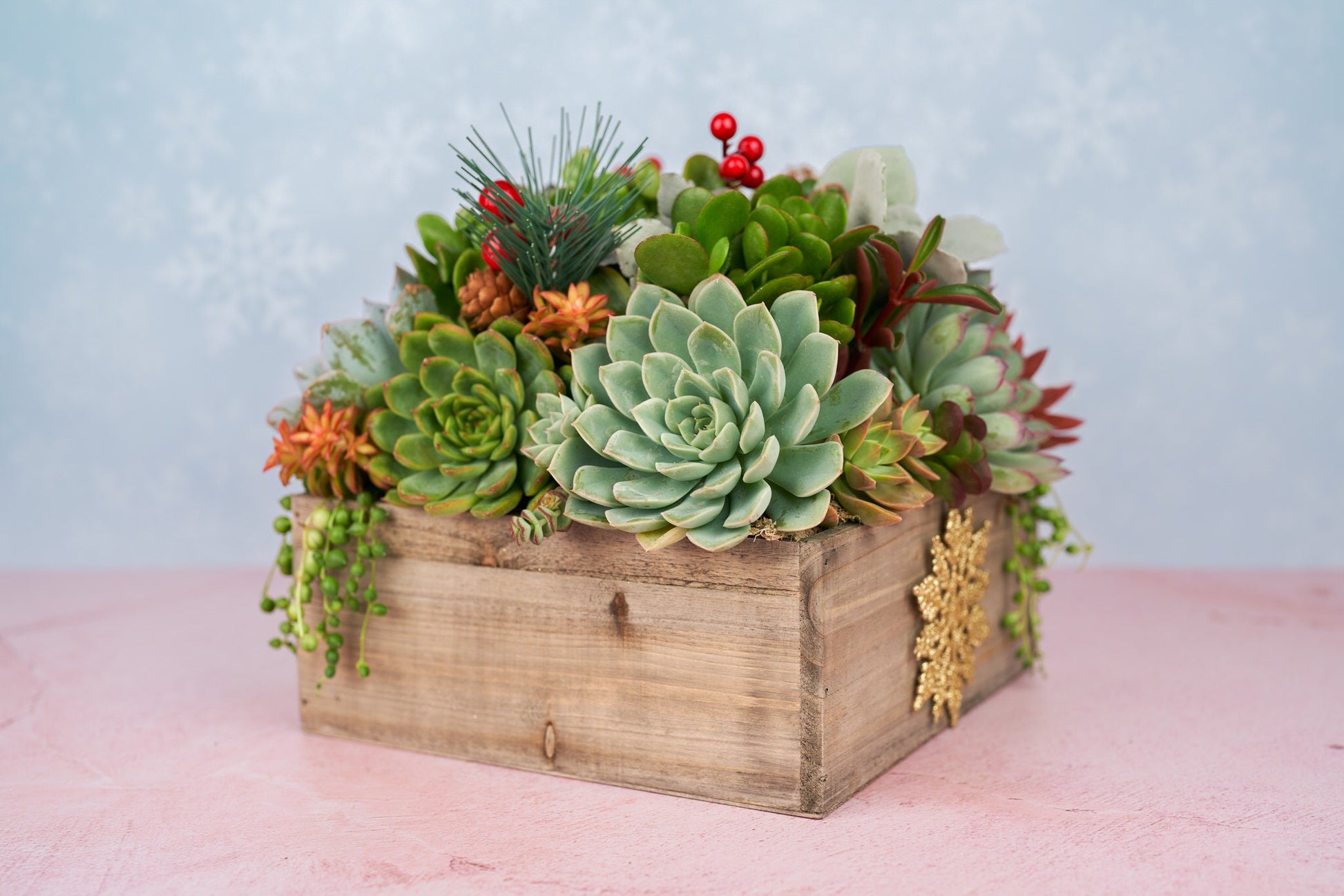 Christmas Holiday Rustic Wood Square Succulent Arrangement Planter: Winter Holiday Centerpiece or Home Decor