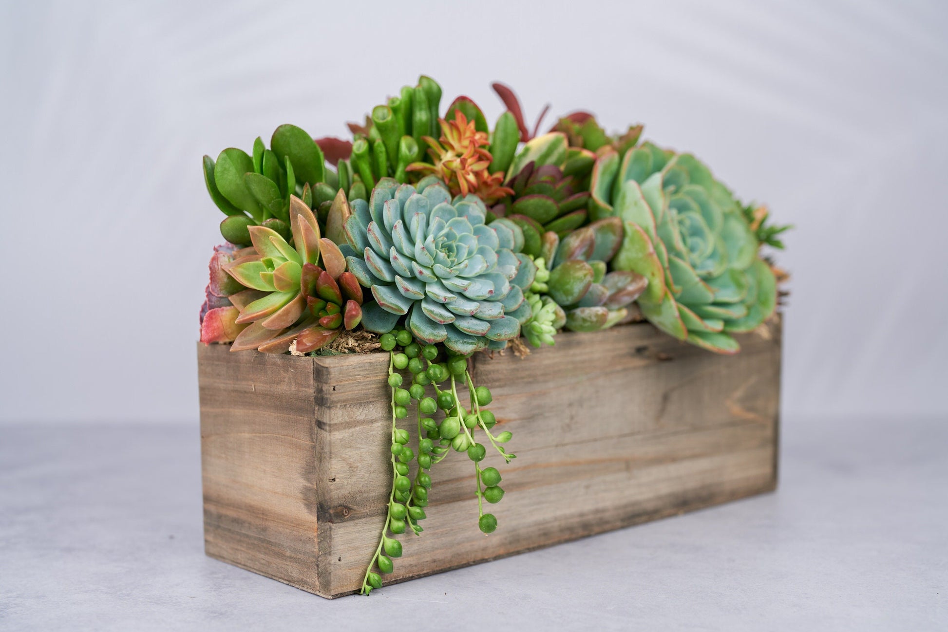 Rustic Wood Rectangle Succulent Arrangement Planter: Living Succulent Gift or Centerpiece for Weddings & Events