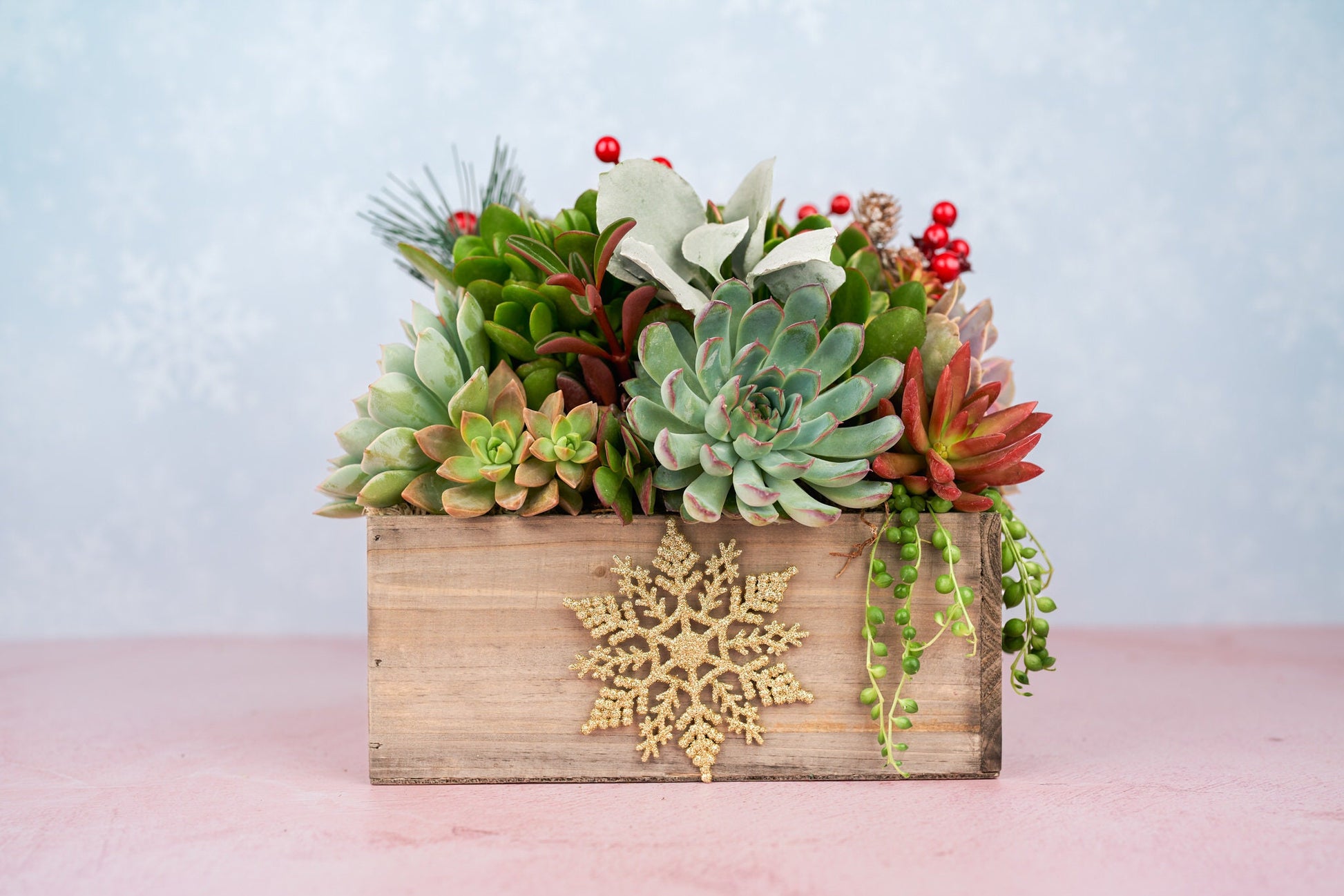 Christmas Holiday Rustic Wood Square Succulent Arrangement Planter: Winter Holiday Centerpiece or Home Decor